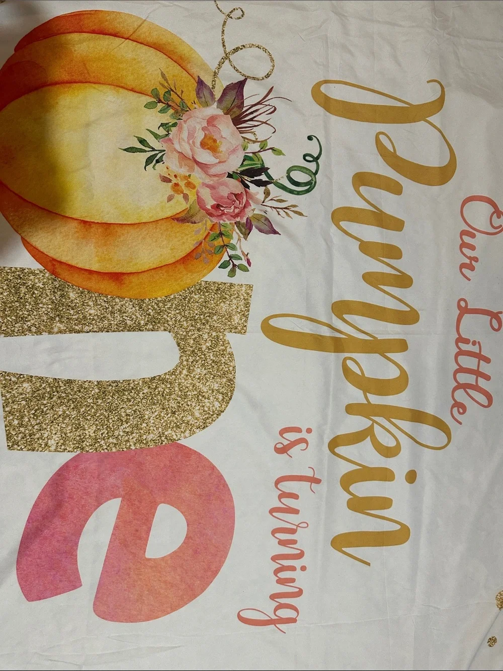 One Little Pumpkin First Birthday Photo Backdrop and high chair tutu
